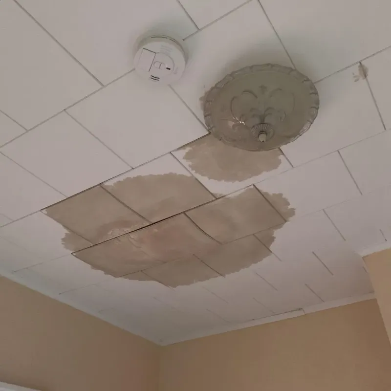 Ceiling Water Damage Repair in Baltimore, OH