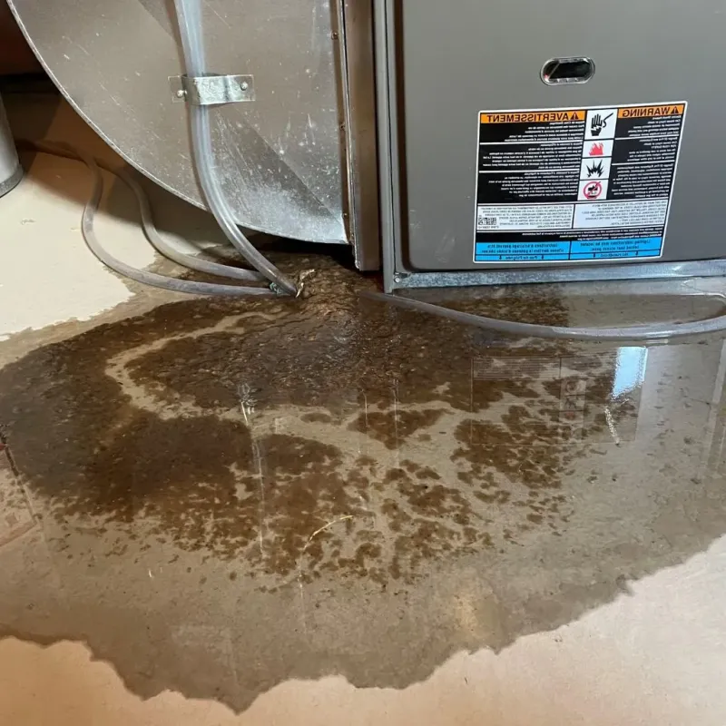 Pipe Burst and Leak Restoration in Baltimore, OH